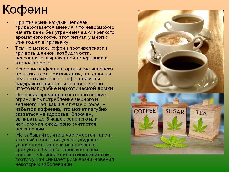 Кофе: полезные свойства и противопоказания, как заваривать
