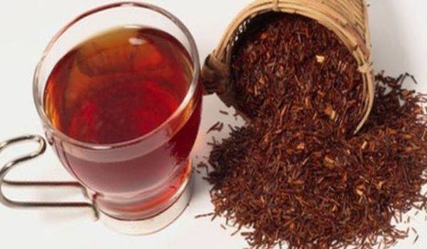 Ройбуш чай: полезные свойства и противопоказания