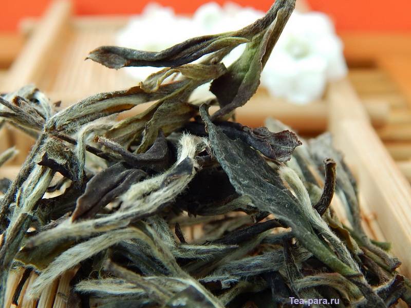 Китайский чай белый пион (бай му дань)