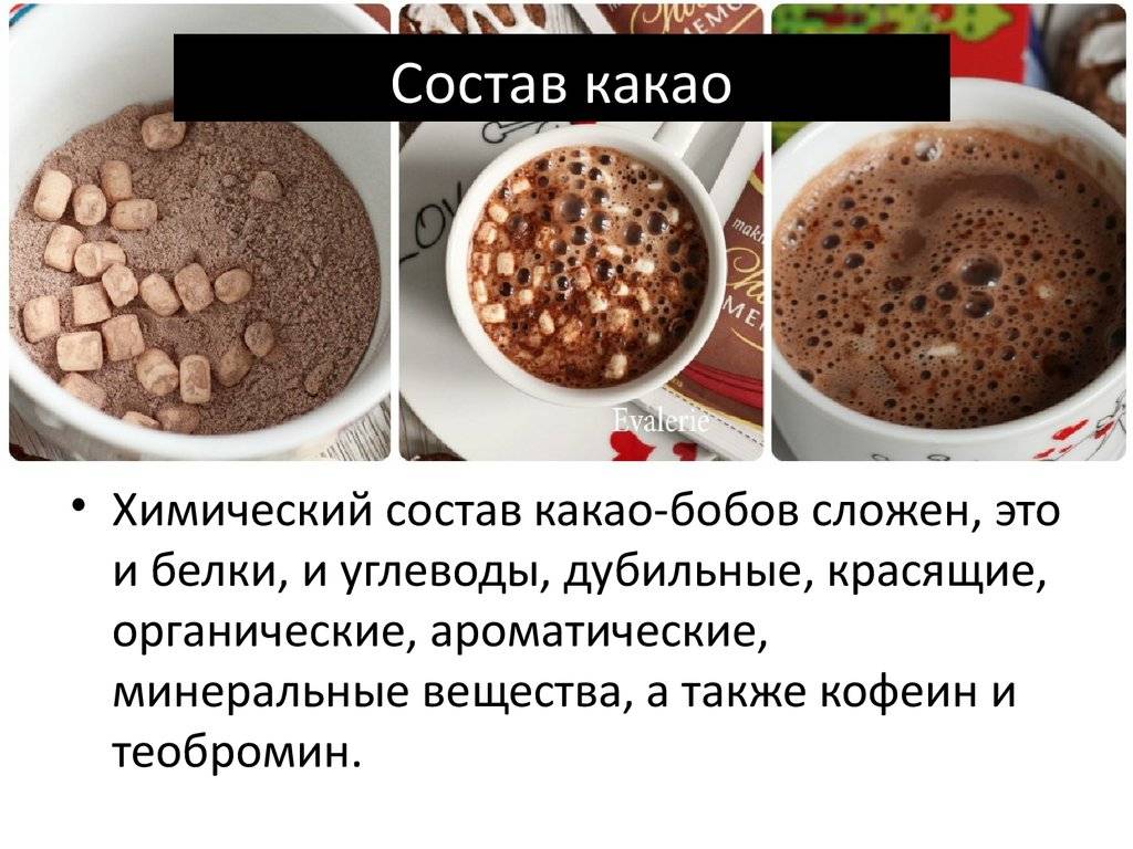16 рецептов как варить какао