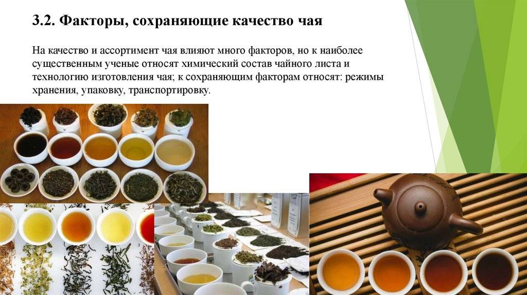 Какие бывают виды чая – полный список и свойства