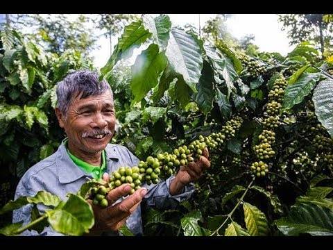 Кофе из вьетнама