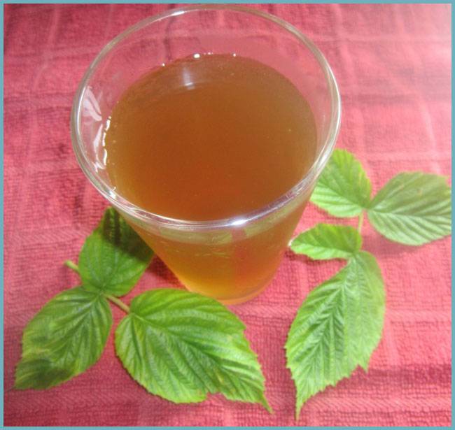 Чай из листьев малины: польза и вред для женщин, как приготовить в домашних условиях