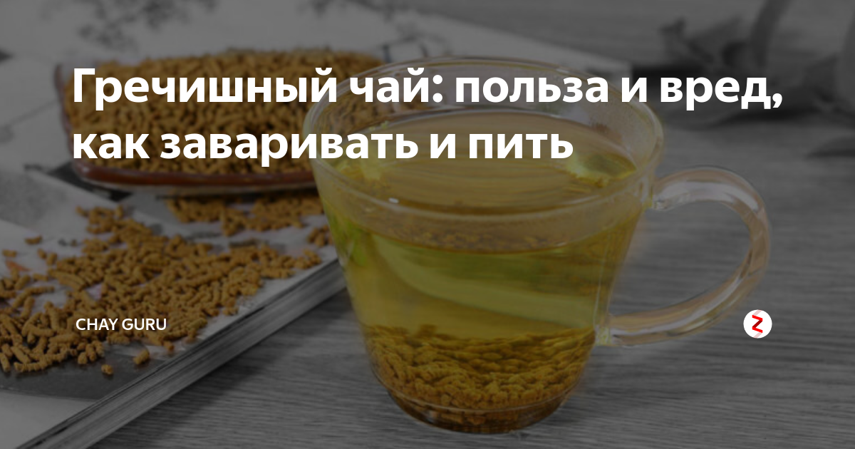 Полезные свойства гречишного чая и как его правильно заваривать