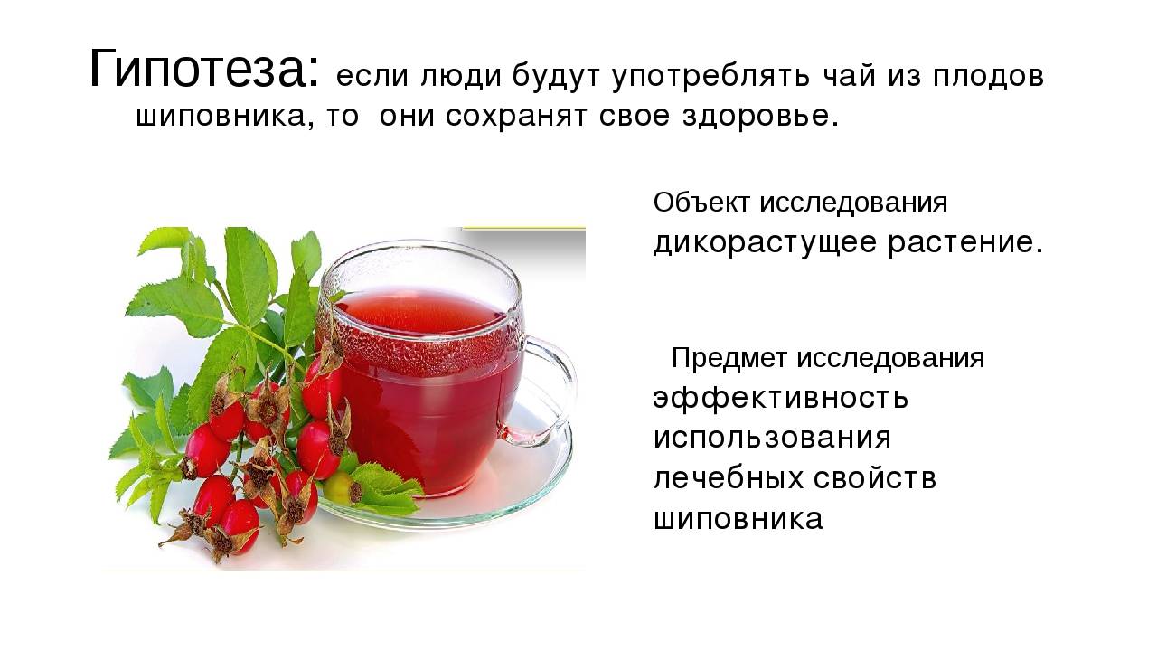 Чай с барбарисом полезные свойства как заварить