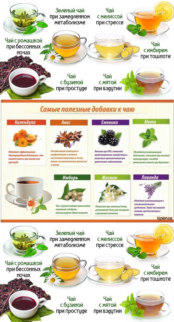Рецепты напитков и травяного чая из лесных дикорастущих лекарственных трав и растений. | выживание в дикой природе