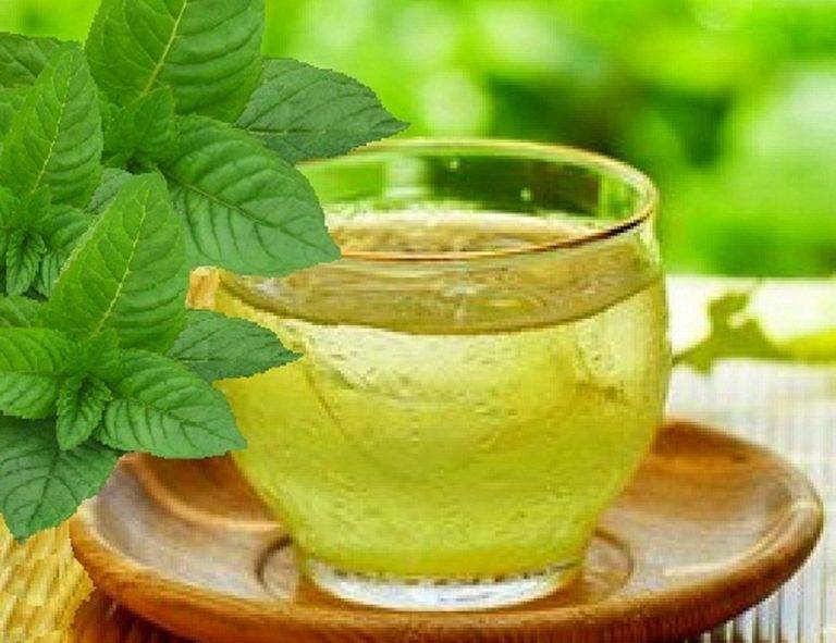 Зеленый чай: польза для организма и вред - лечебные свойства, калорийность, способы заваривания