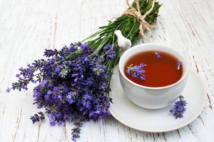 Чай из шалфея — польза и вред, как пить и заваривать