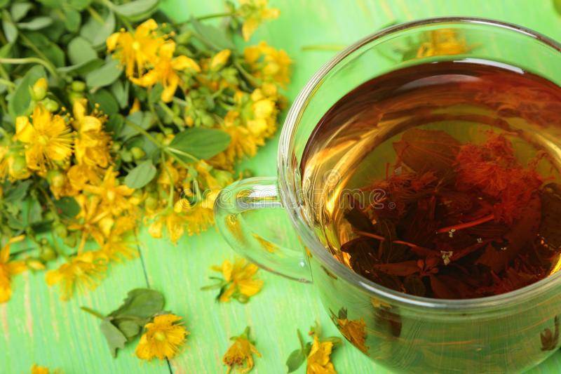 Чай из зверобоя польза и вред для мужчин, женщин и детей