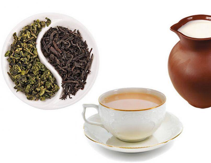 Чай с молоком - польза и вред для организма, рецепты приготовления