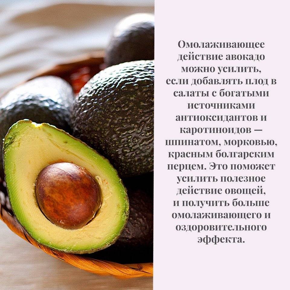 Полезные свойства авокадо для организма: самая полноценная пища на планете?
полезные свойства авокадо для организма: самая полноценная пища на планете?