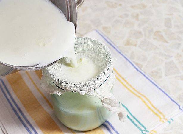 Рецепт катыка в домашних условиях (23 фото): как правильно сделать дома напиток из козьего молока
