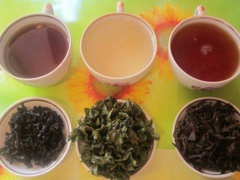 Чай Тигуанинь: ароматный улун из Китая