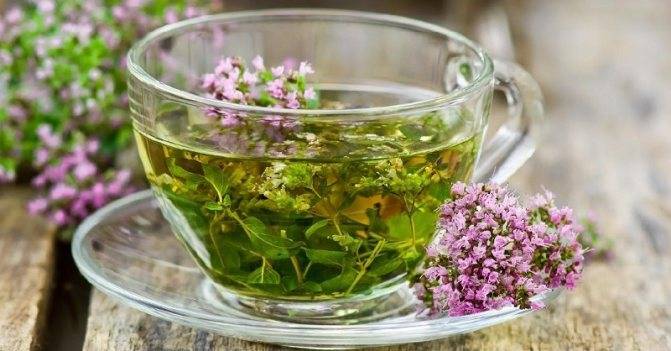 6 способов заварить чай с душицей