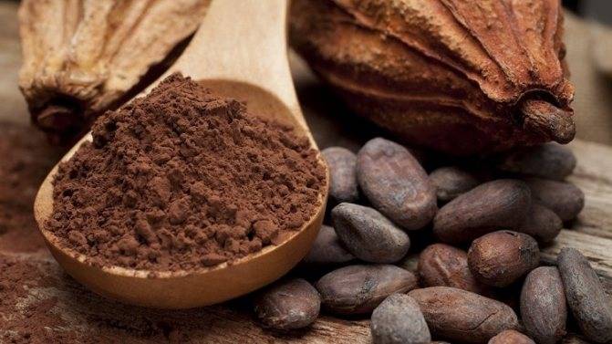Калорийность какао