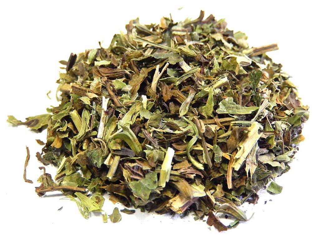 5 способов правильно сушить мелиссу для чая на зиму в домашних условиях