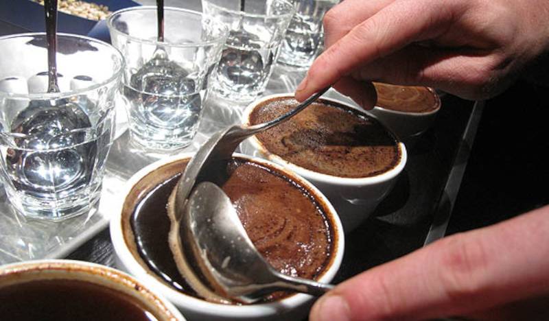 Каппинг кофе в москве — советы для начинающих дегустаторов