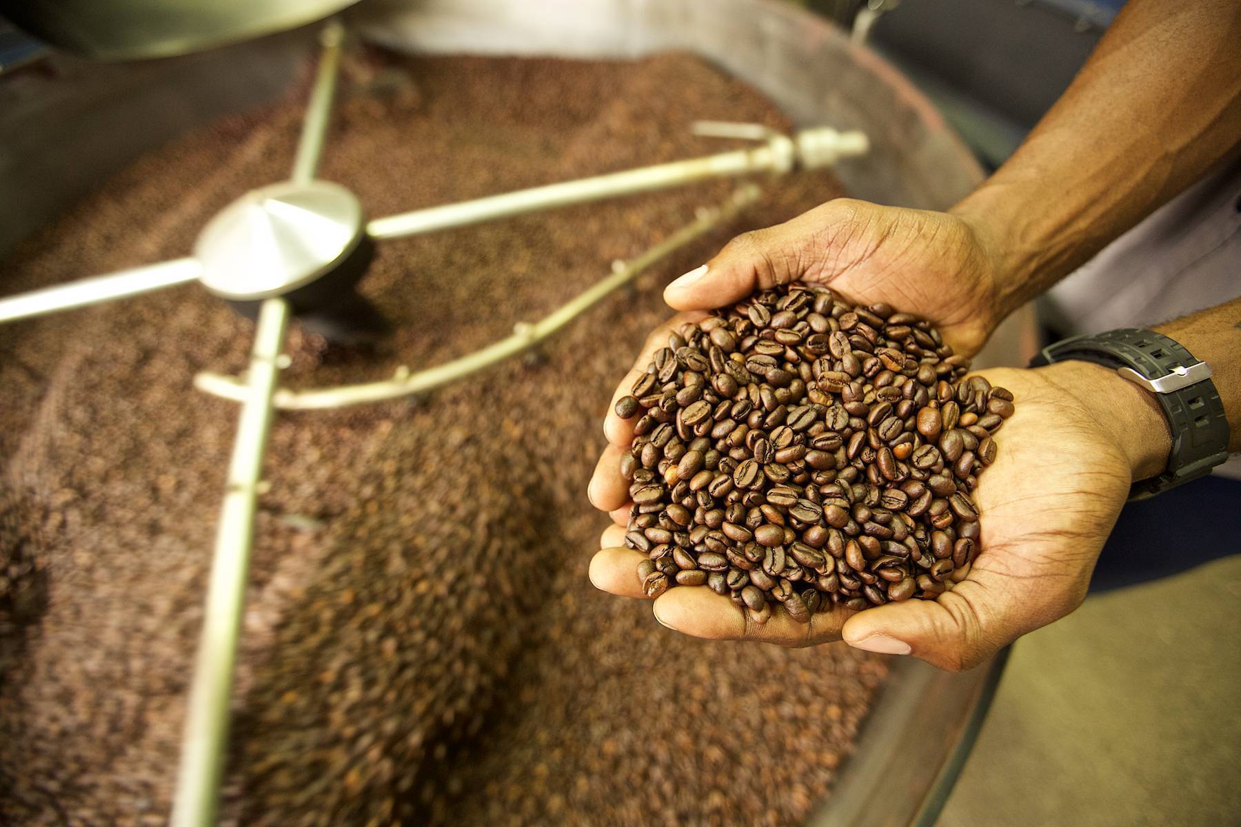 Сублимированный кофе: технология производства, польза и вред