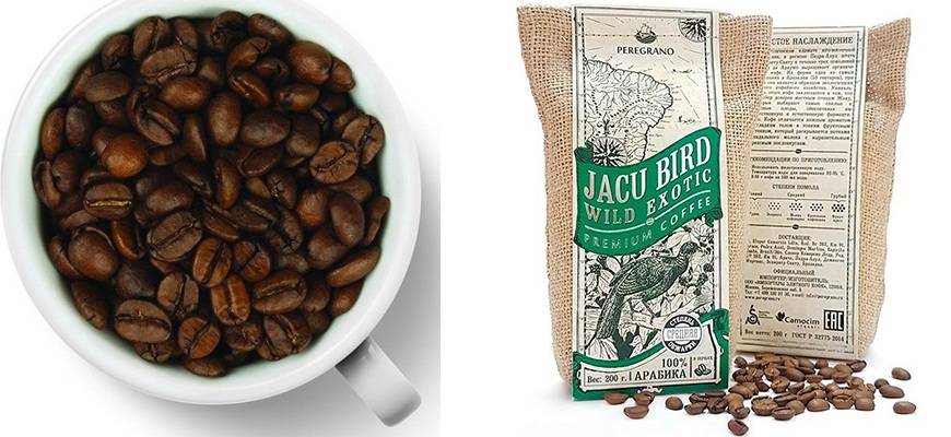 Лювак — самый дорогой и необычный кофе