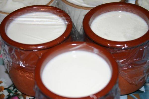 Домашний йогурт- популярные рецепты приготовления