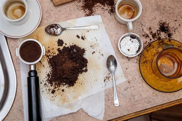 Применение кофейной гущи (жмыха, спитого кофе) для удобрения