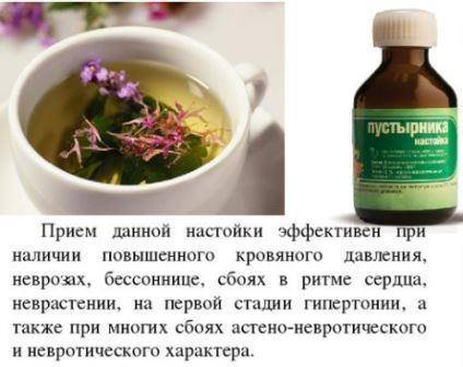 5 лечебных свойств иван-чая для здоровья женщин, противопоказания, как правильно пить