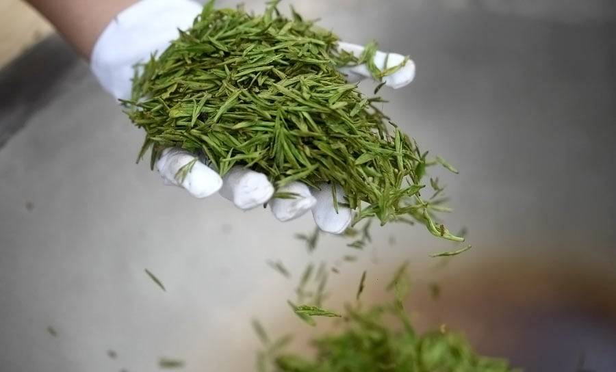 Полезные свойства чая Лунцзин (Колодец дракона) и его разновидности