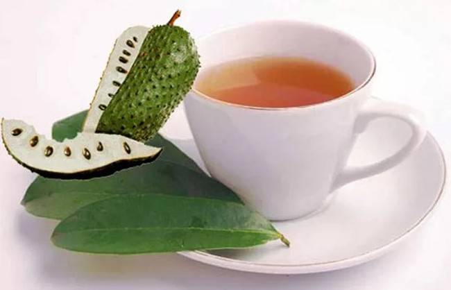 Зеленый и черный чай с саусепом: полезные свойства и фото