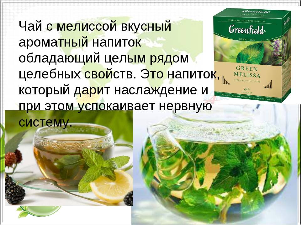 Чай с лимонником (рецепты) — польза и вред