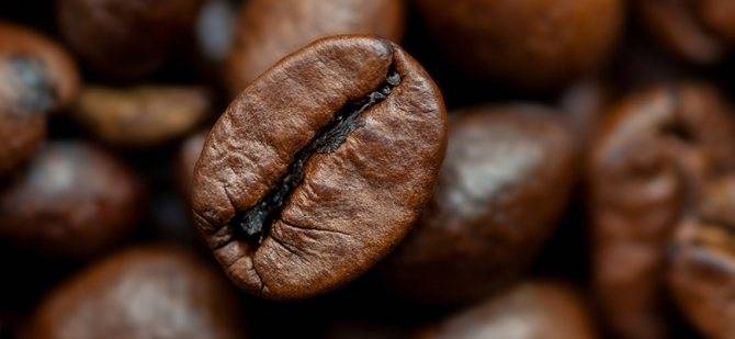 Популярные сорта кофе в Индии