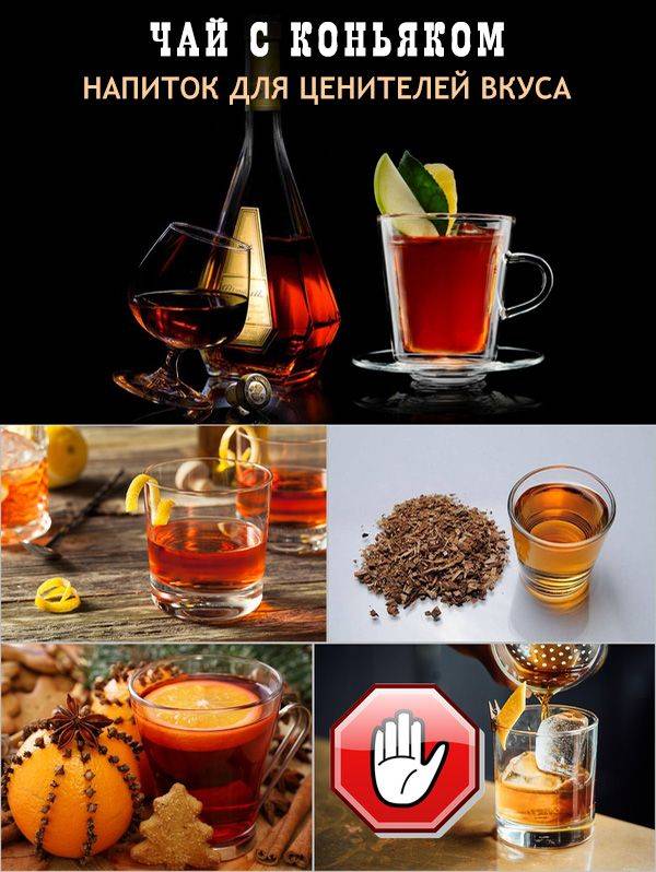 Чай с коньяком – полезный напиток для настоящих ценителей вкуса
