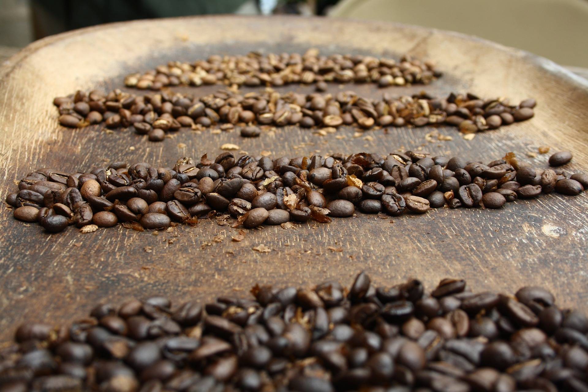 Основные черты и разновидности кофе из кении