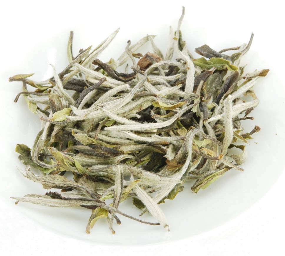 Чай белый пион: вкусовые свойства и традиции приготовления