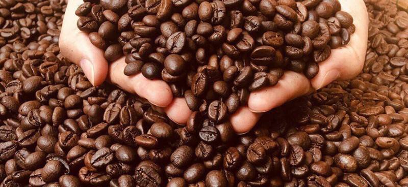 Какой кофе является самым дорогим в мире