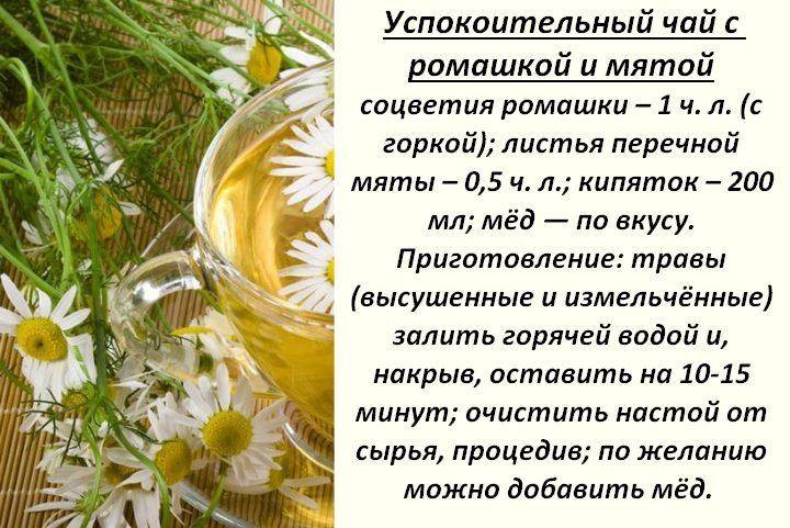 ᐉ как заваривать ромашку для питья - godacha.ru