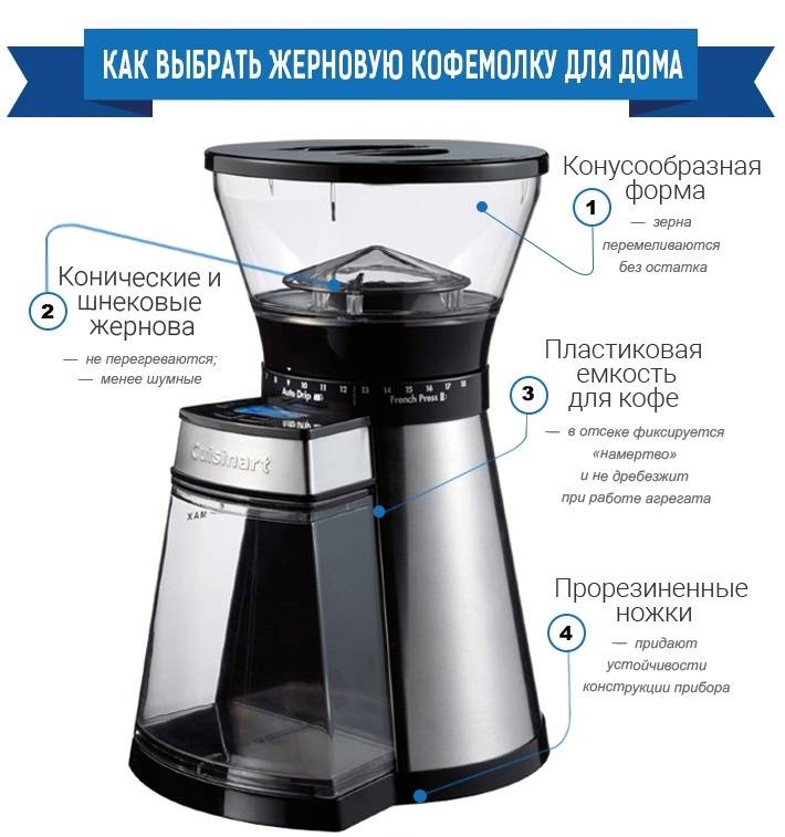 Кофемолка электрическая. как выбрать кофемолку: рекомендации