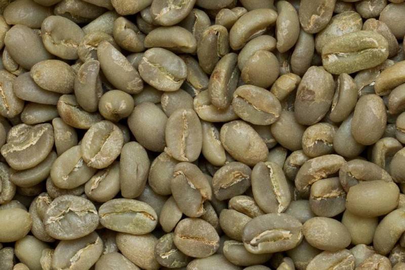 Популярные сорта эфиопского кофе