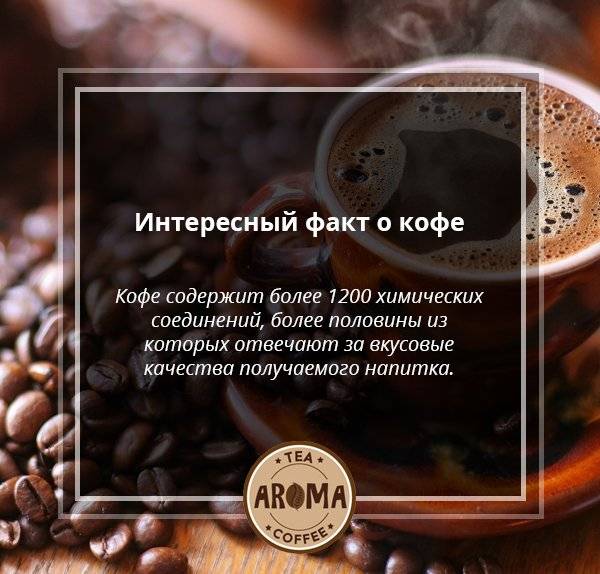 Интересные факты о кофе: выращивание, история, употребление
