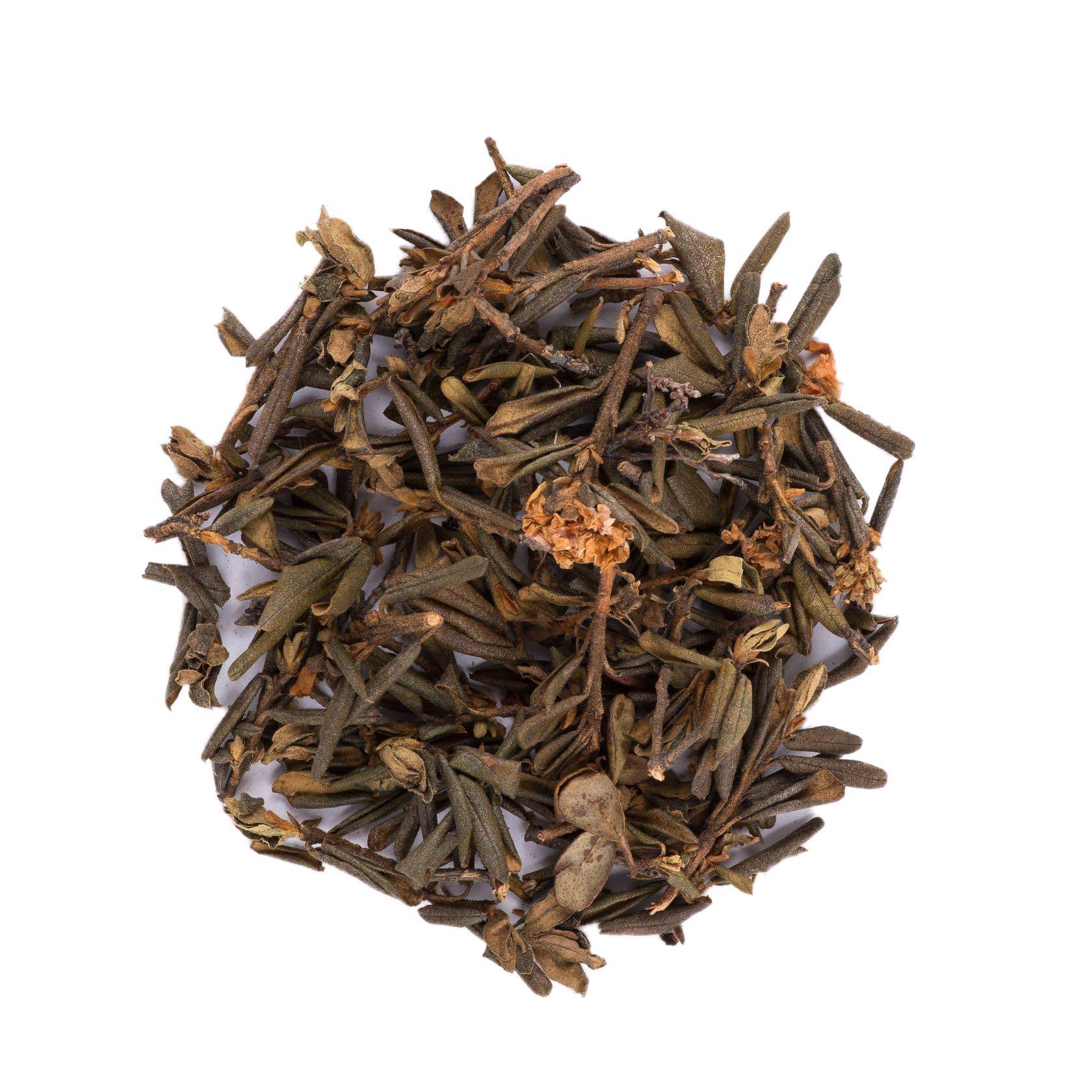 Саган-дайля: полезные свойства и противопоказания, как заваривать травяной чай и отзывы о лекарственной траве