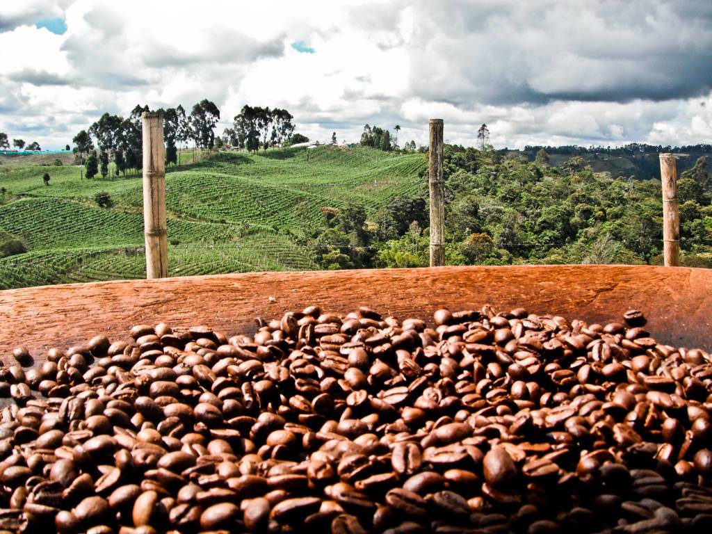 Характеристика кофе из бурунди