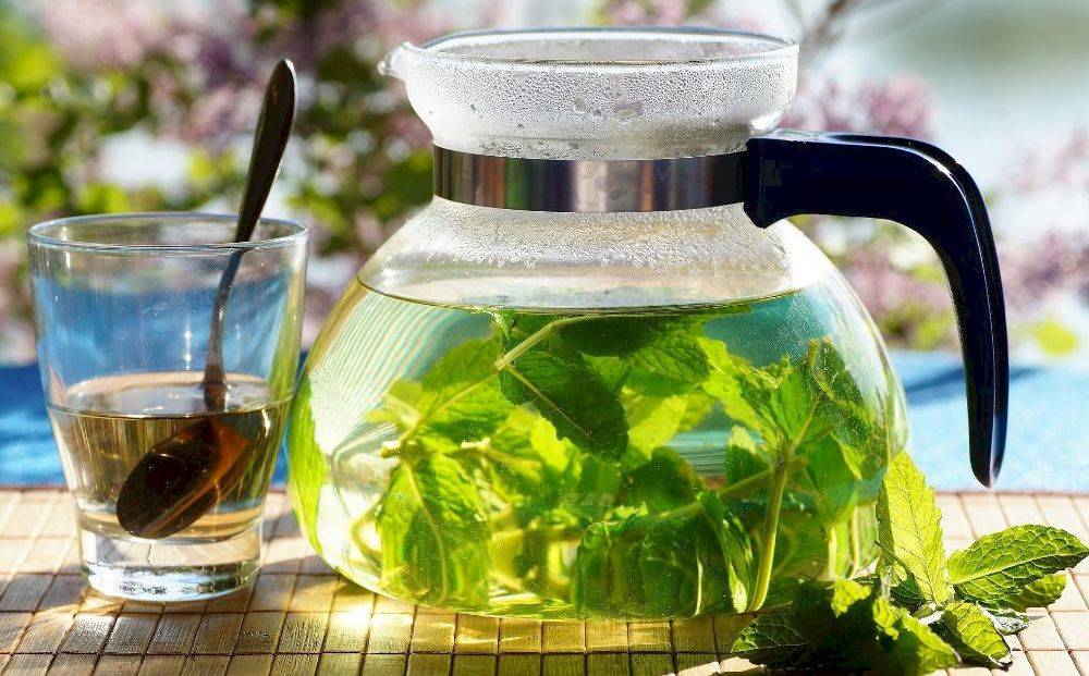 Чай с базиликом - не только вкусный, но и целебный напиток