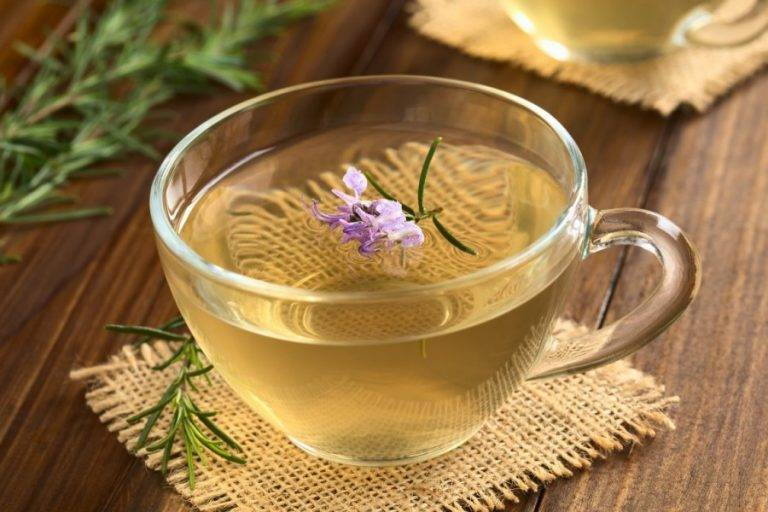 Чай с розмарином: польза и вред, рецепт заваривания напитка