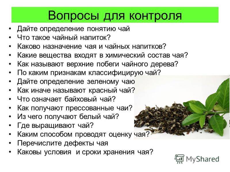 Зеленый и черный чай: польза и вред для организма человека, их свойства