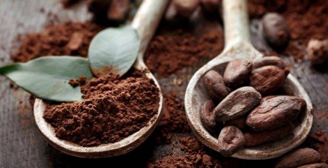 Полезные свойства и вред какао-бобов