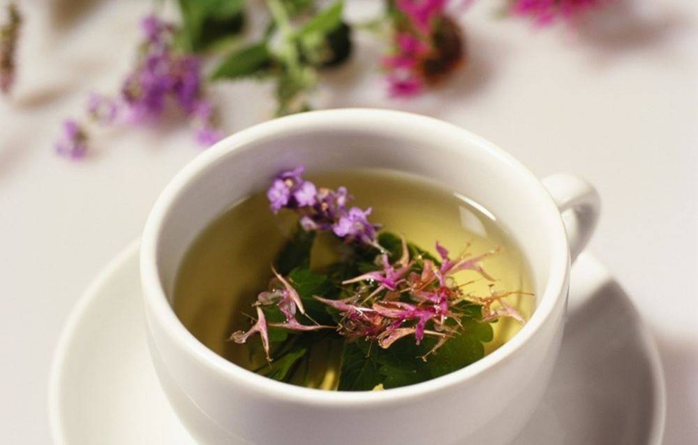 Чай с шалфеем полезные свойства и противопоказания