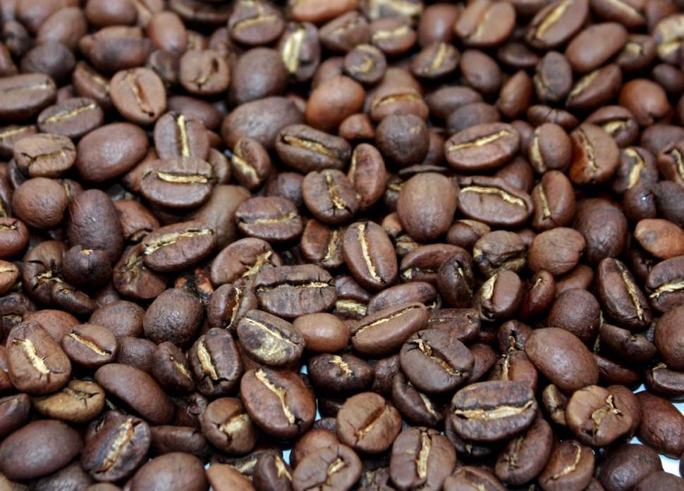 Кофе марагоджип: описание сорта, виды, особенности