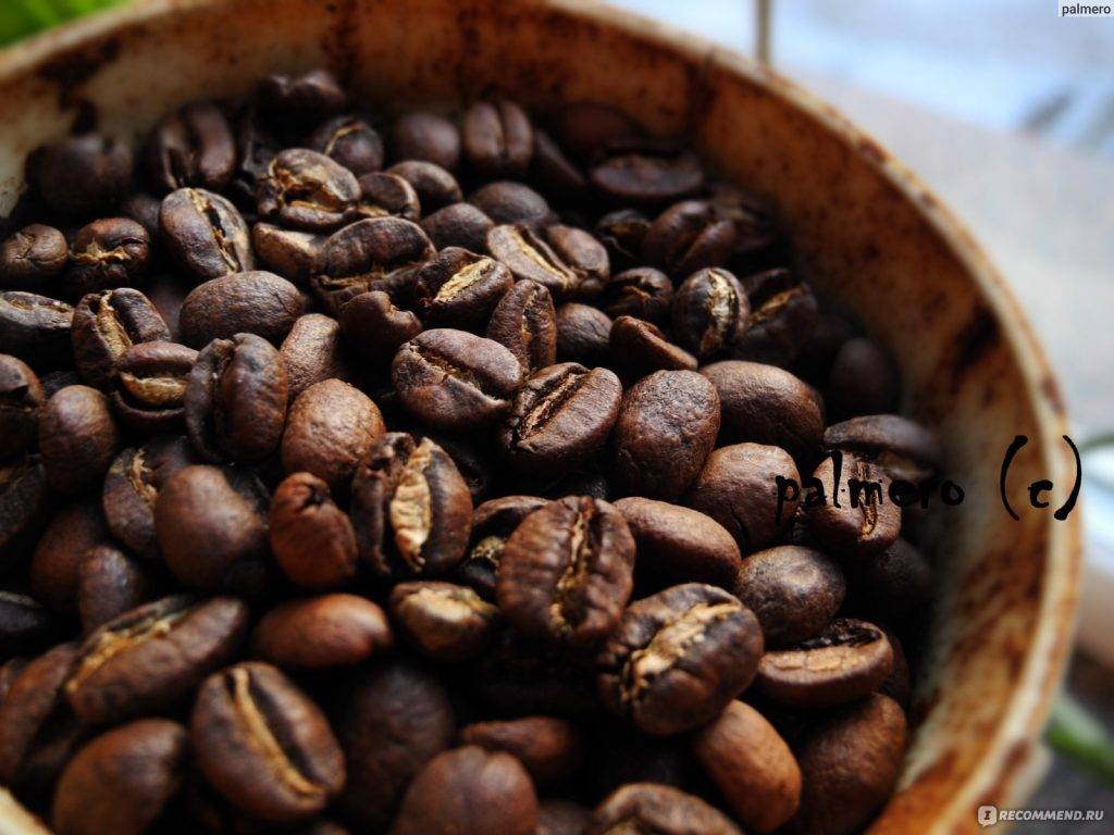 Как выбрать кофе в зернах для кофемашины [советы экспертов]