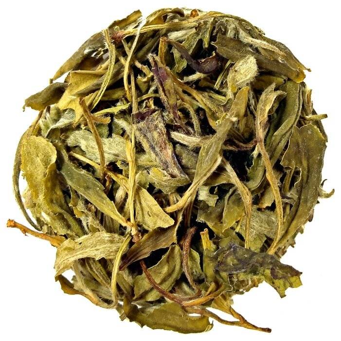 Чай белый пион (бай му дань): обзор элитного сорта, польза, отзывы