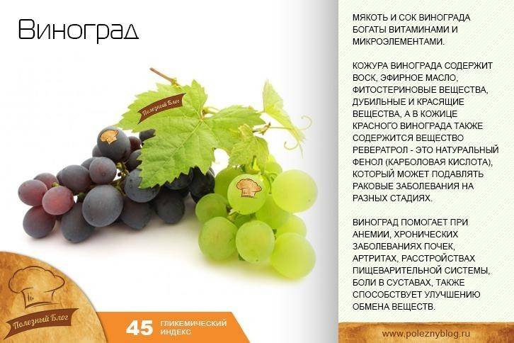 Чай из листьев винограда польза и вред - описание и основные характеристики