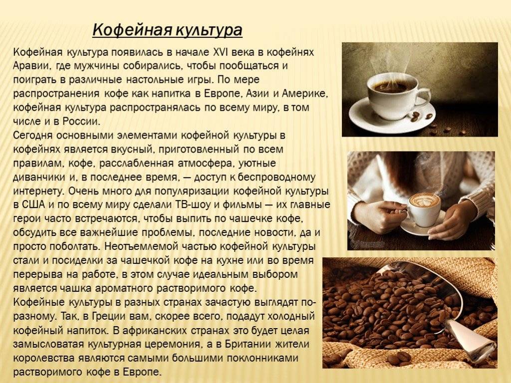 Виды кофе и способы приготовления